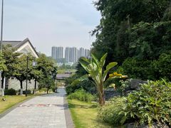 -广州神农草堂中医药博物馆