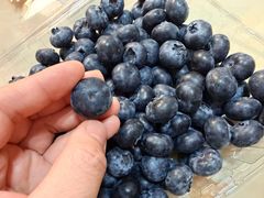 -春润大地海南椰子鸡(沙井京基百纳广场店)