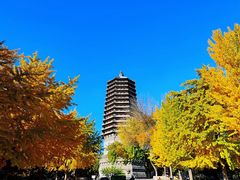 -玲珑塔公园