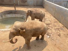 -西霞口神雕山野生动物世界