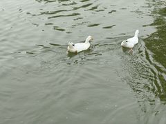 -汉长安城未央宫国家考古遗址公园