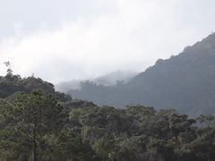 -海南热带雨林国家公园吊罗山景区