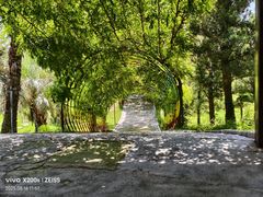 -南通洲际绿博园