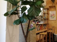 -拾壹cafe·工作室