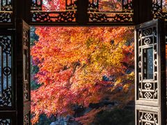 -何园