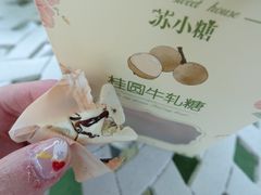 桂圆牛轧糖-苏小糖(鼓浪屿三丘田花园店)