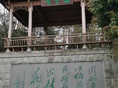 -千岛湖东南湖区