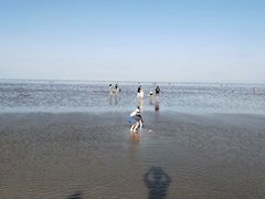 -南汇嘴观海公园