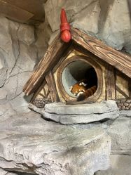 -Zoolung Zoolung动物主题公园(海信广场店)