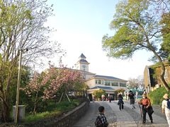 -紫金山山顶公园