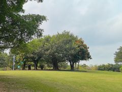 -南宁南湖公园
