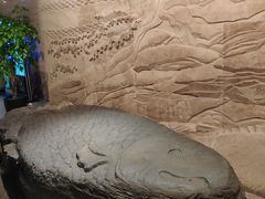 -白鹤梁水下博物馆