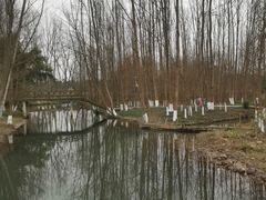 -桤木河湿地公园