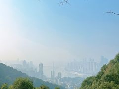 -南山植物园