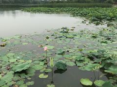 -尚贤河湿地