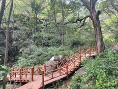 -大岭沟猕猴桃谷风景区