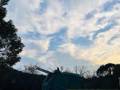 -上海吴淞炮台湾国家湿地公园