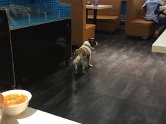 -火焰枪蛋·烧烤(奉天街店)