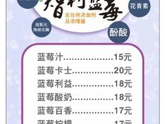 菜单-潮汕良心果汁(金新北路店)