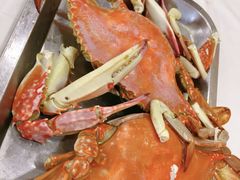 -渔民船说·北塘海鲜·天津菜·海肠捞饭(北塘古镇店)