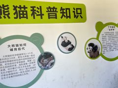 -宁波野生动物园
