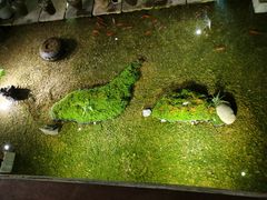-几荷·恰似故人来(秀水广场店)