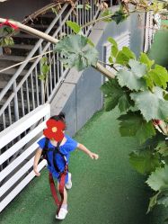 -可可天空农场(中大店)