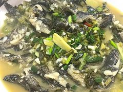 -领鲜土菜馆