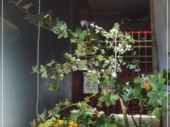 -江户烧肉(高德店)