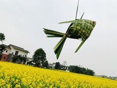 -桤木河湿地公园