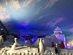 -世界之窗阿尔卑斯冰雪世界