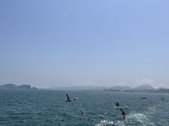 -海驴岛(荣成市)