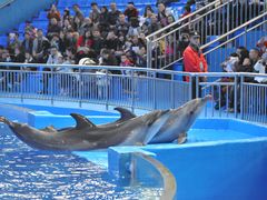 -多彩贵州城极地海洋世界