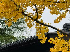 -宝界山林公园
