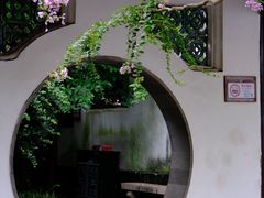 -上海醉白池公园