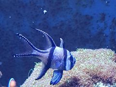 -成都浩海立方海洋公园