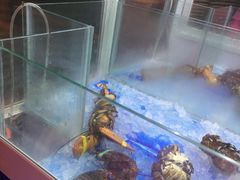 -OPEN開全日自助餐厅·牛肉火锅·海鲜(佛山希尔顿酒店)