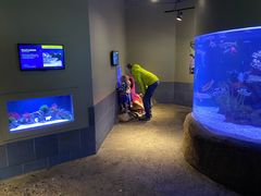 -西雅图水族馆