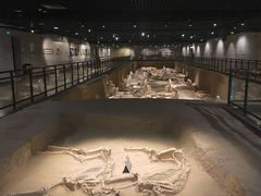 -洛阳周王城天子驾六博物馆