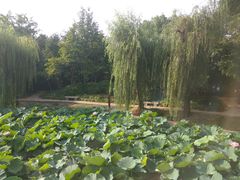 -上海市龙华烈士陵园