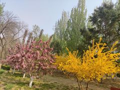 -元大都城垣遗址公园