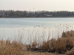 -丁香湖公园