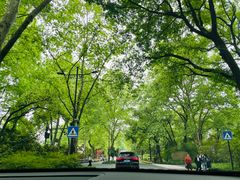 -野蔓果·山野菜(西湖景区·龙井茶田店)