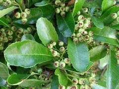 -鉴湖国家城市湿地公园