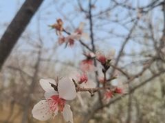 -张家湾公园