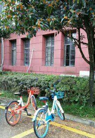-四川大学(望江校区)