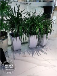 -罗亚帝造型·烫发染发