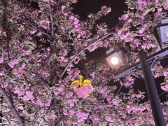 -西北湖绿化广场