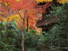 -三千院