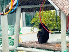 -西霞口神雕山野生动物世界